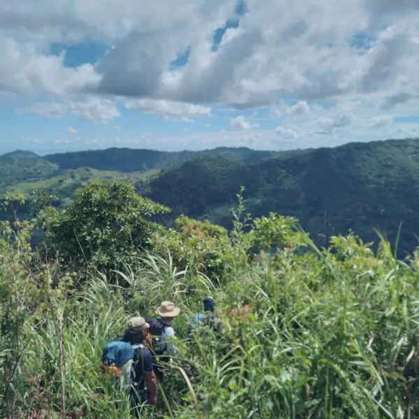 Biodiversity Walk - Image 7