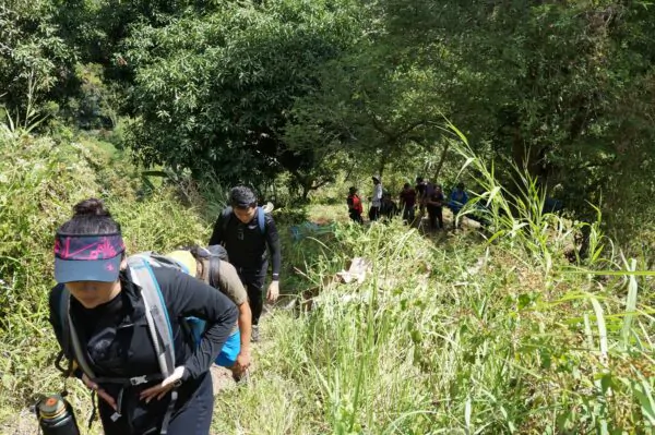 Biodiversity Walk - Image 13