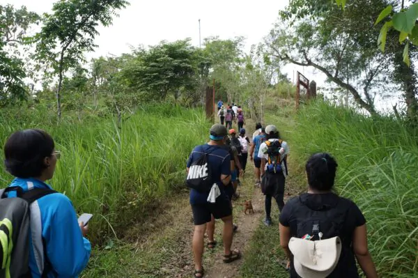 Biodiversity Walk - Image 15