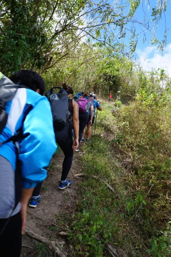 Biodiversity Walk - Image 16