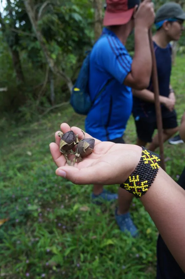 Biodiversity Walk - Image 23