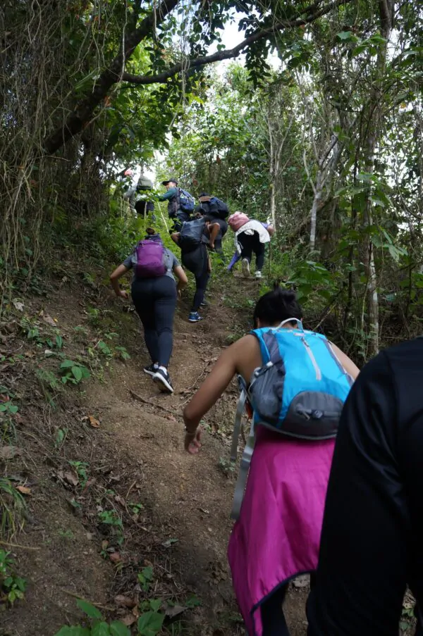 Biodiversity Walk - Image 26