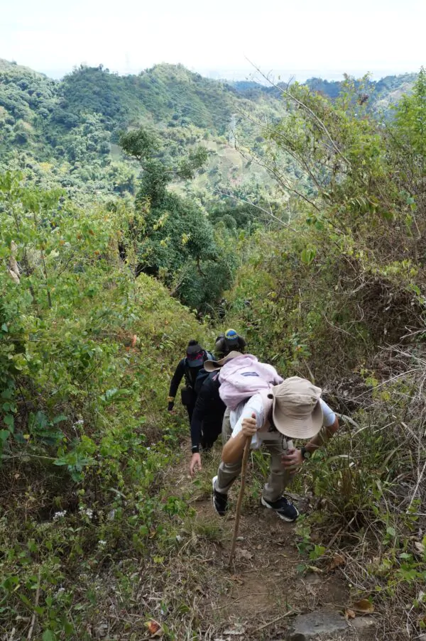 Biodiversity Walk - Image 31