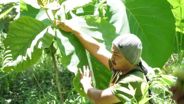 Biodiversity Walk - Image 2